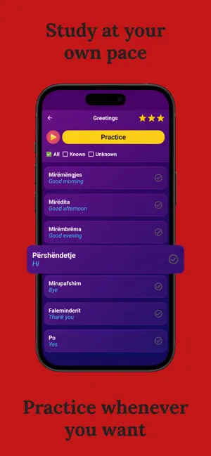 Learn Albanian (Beginners) screenshot 3