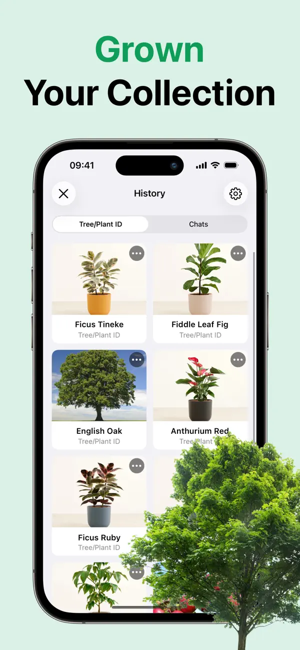 #4. Tree Identification - Tree ID (iOS) di: Hue Nguyen Thi