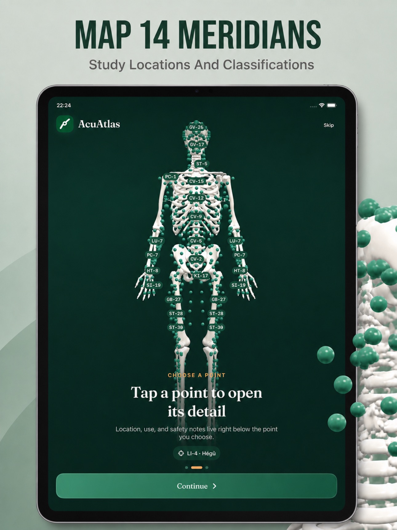 Screenshot 8 of Acupuncture Points: AcuAtlas