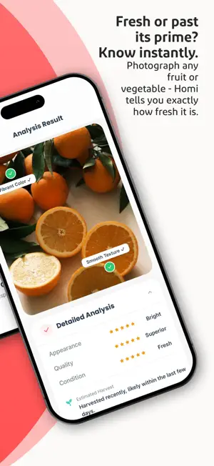 Homi: AI Recipe Assistant screenshot 2