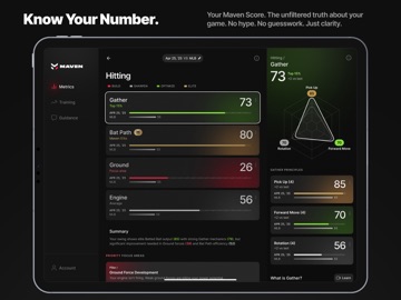 Maven Baseball iPad screenshot