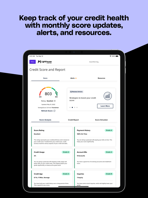 Lighthouse Credit Union iPad screenshot 4 - Finance app