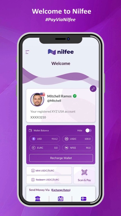Nilfee: Cross-Border Payments