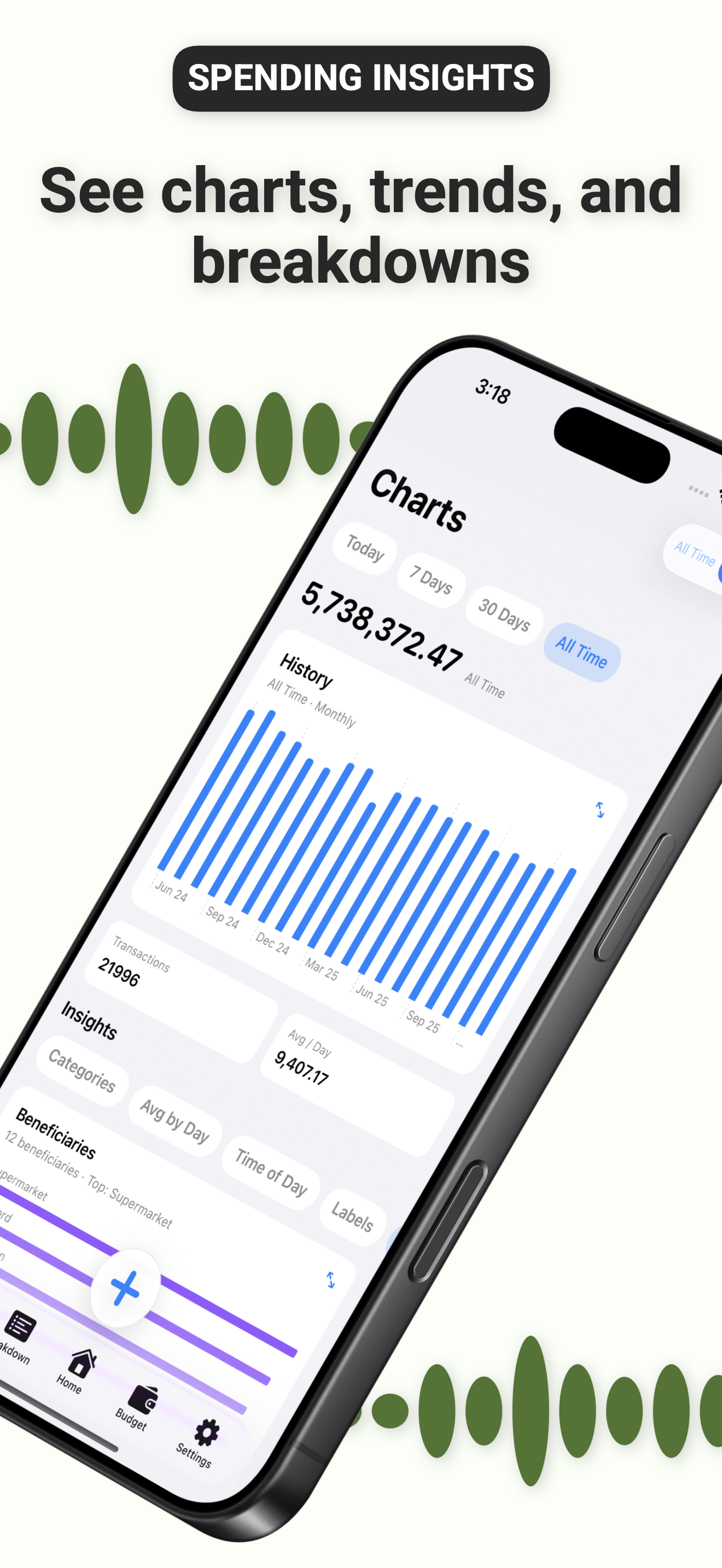 SpendEye: Detailed Charts