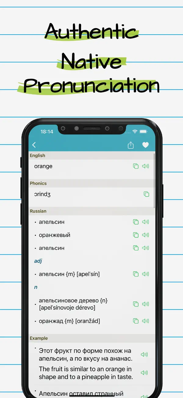 Screenshot #2 pour Russian English Dictionary +