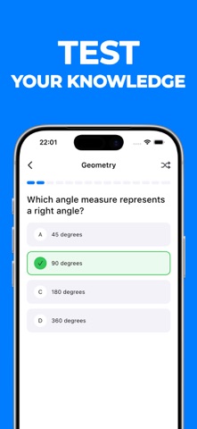 数学解题器: MathFella screenshot