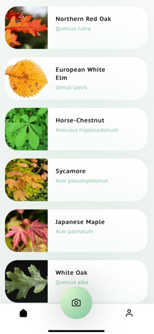 Tree Leaf Identifier Screenshot 4 of 8