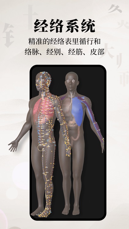 中医经络腧穴—针灸大师