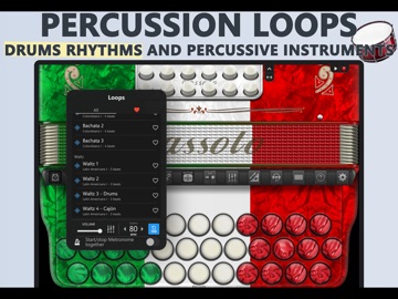 Accordion Cassoto Diatonic iPad screenshot