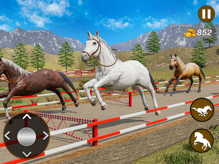 Wilderness Horse Racing Game