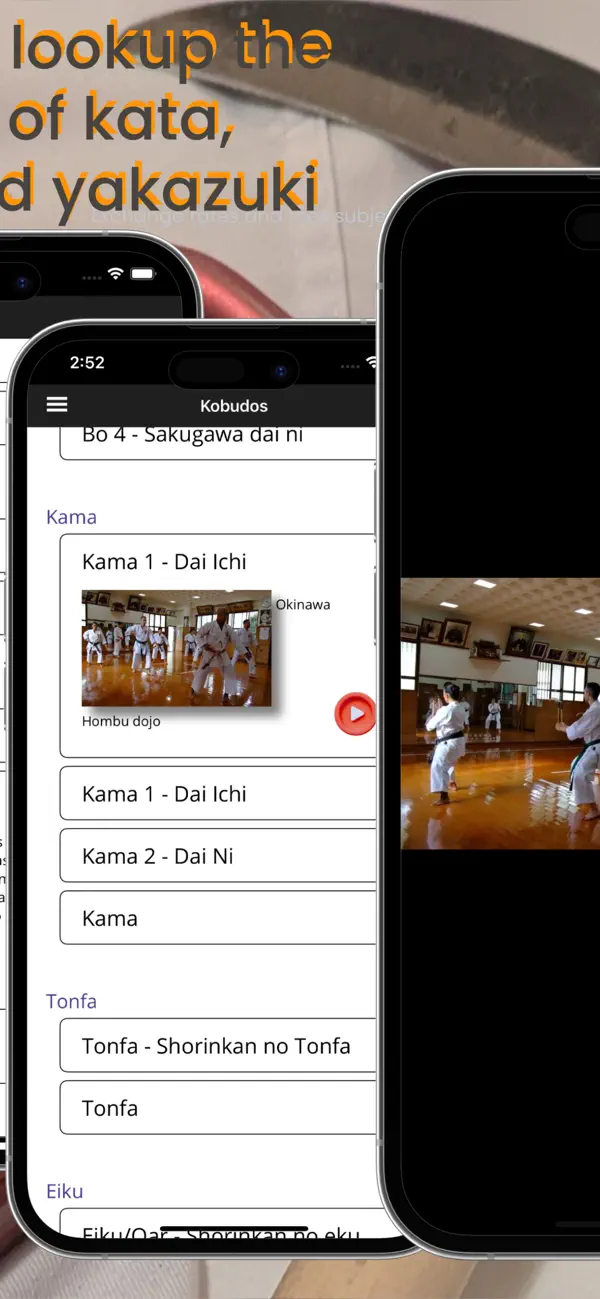 Screenshot #3 pour Shorin-Ryu Shorinkan Pro