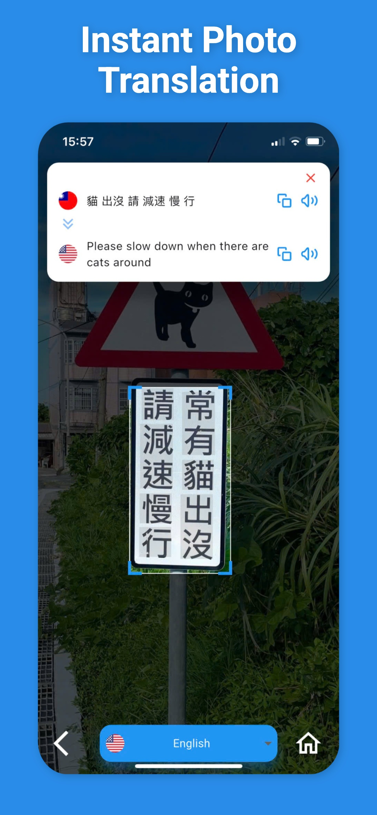 Taiwanese Translator & More +