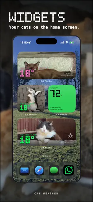 Cat Weather screenshot 3