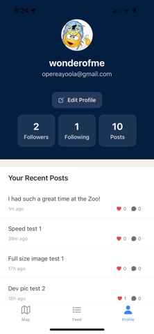 Winnipen screenshot