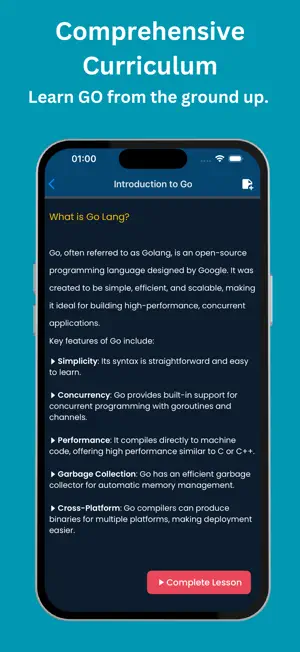 Learn Go: Backend Coding screenshot 2