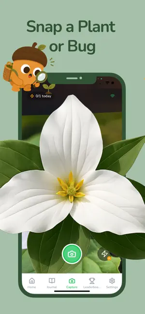 Plant & Bug Identifier Leafari screenshot 2