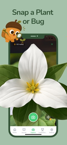 Plant & Bug Identifier Leafari screenshot