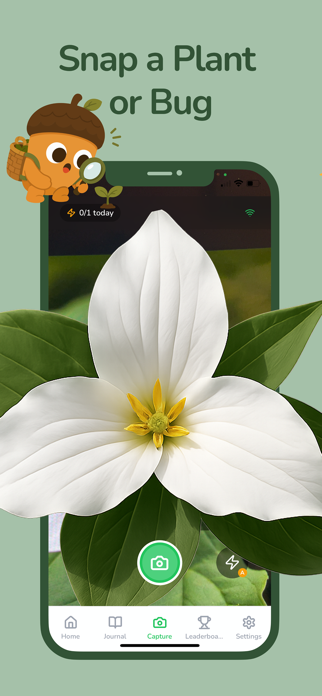 Plant & Bug Identifier Leafari Screenshot 2 of 5