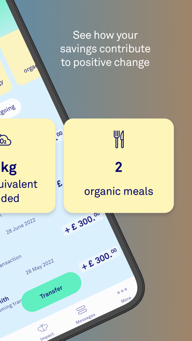 Triodos Bank UK Screenshot