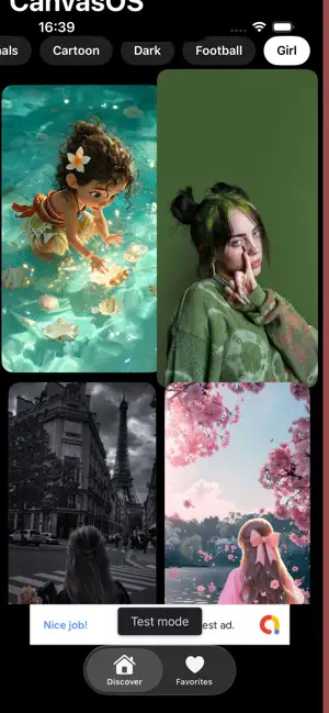 CanvasOS screenshot 3