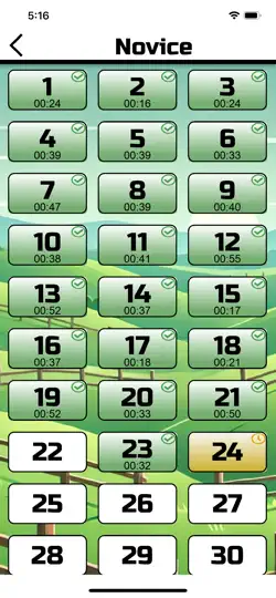 Fences Puzzle iPhone Screenshot 3