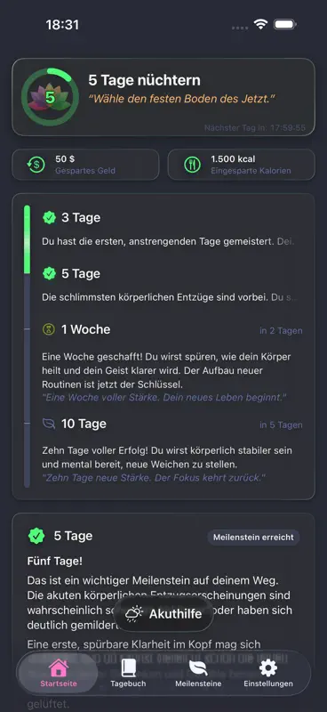 Simple Sober Tracker screenshot 9 of 10