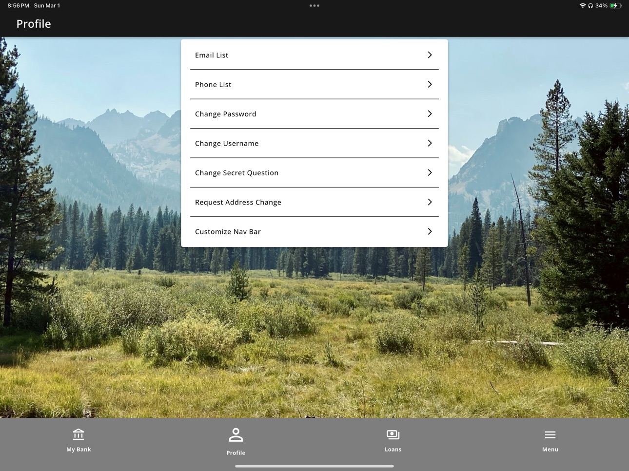 iPad screenshot