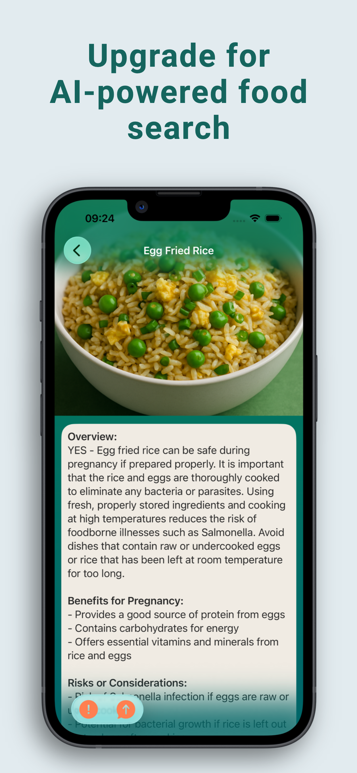 Pregnancy Food Checker & Guide