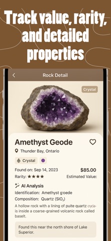 Stone Identifier: RockHunt Screenshot 1 of 6