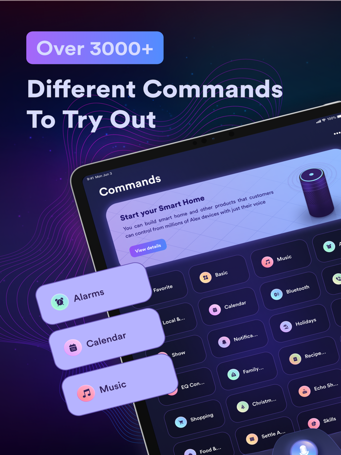 EchoApp Voice, Commands, Setup