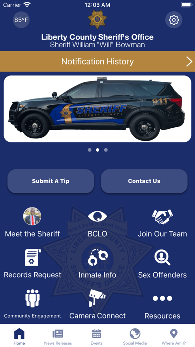Liberty County Sheriff, GA Screenshot