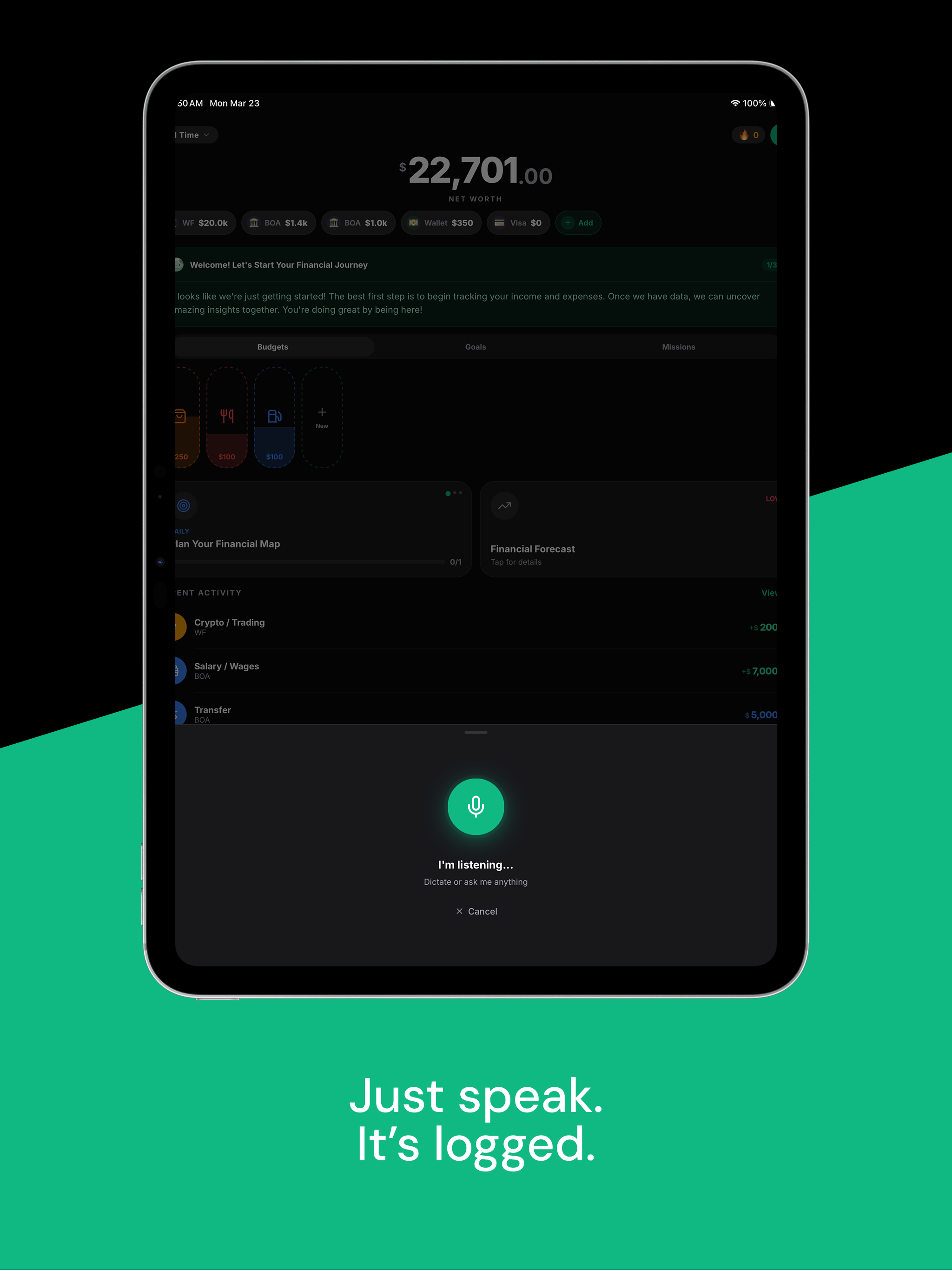 Koinx: Voice Expenses screenshot 7