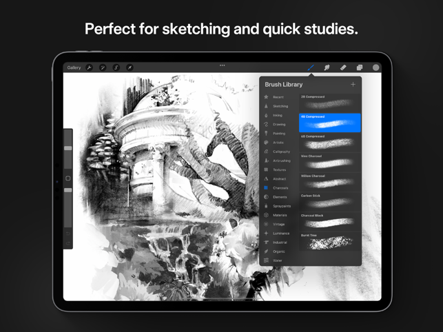 ‎Procreate Screenshot