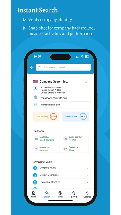CSI - Search Business Intel