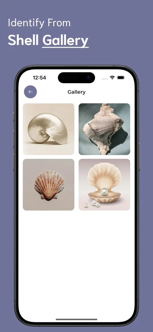 #6. Shell Identifier - SI (iOS) Oleh: Ankur Dhameliya