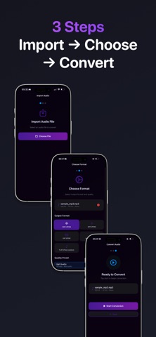 Audio Converter: ZEN screenshot