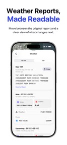 AeroNautical: METAR & NOTAM screenshot