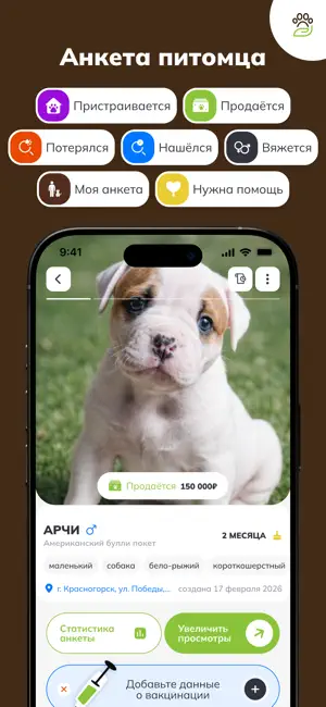 ЗооКлик: счастливый питомец screenshot 2