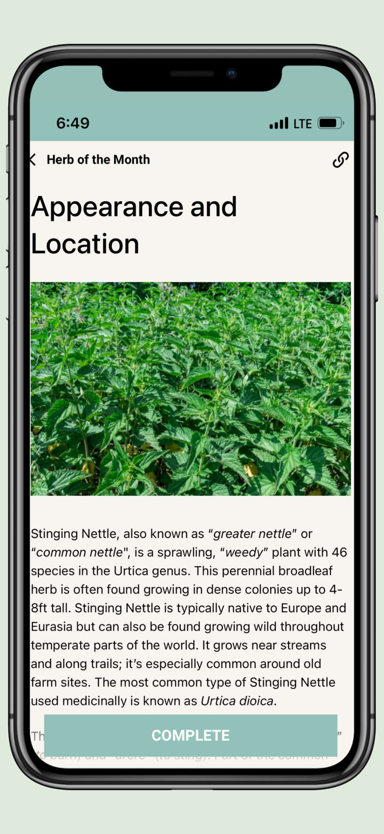 Herbal Answers ®