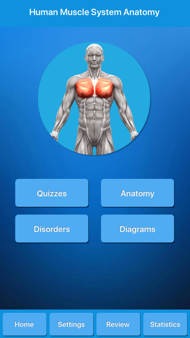 Screenshot #1 pour Muscle System Anatomy