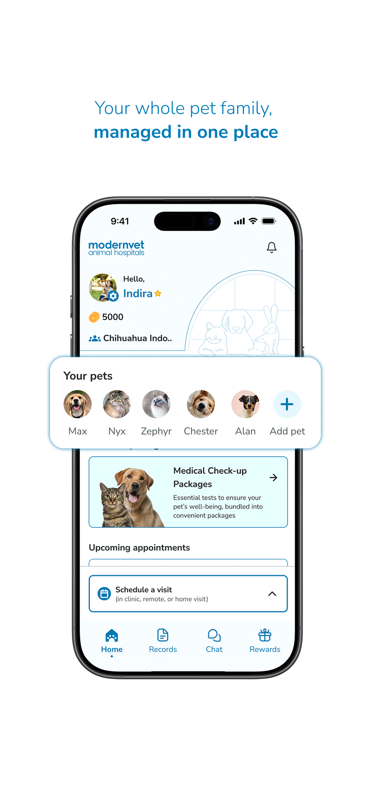 modernvet screenshot 5