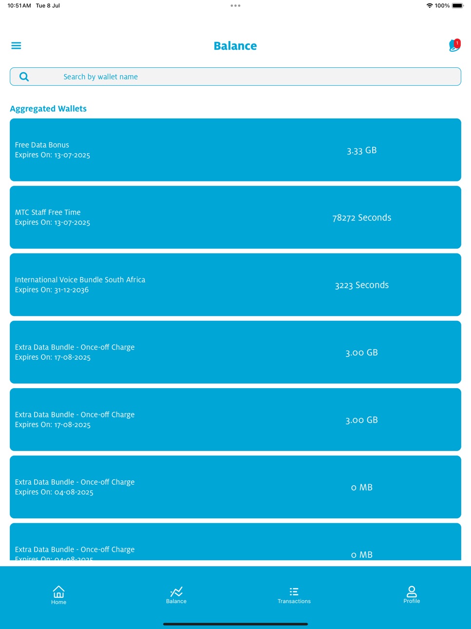 iPad screenshot