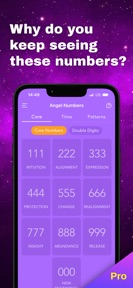 Pocket Numerology Pro screenshot