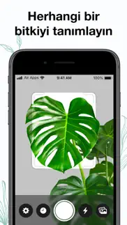 plant air - bitki tanıma iphone resimleri 1