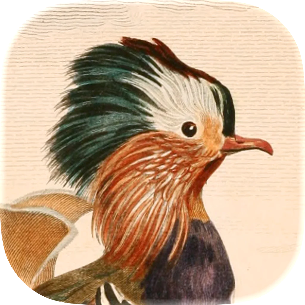 Art of Fauna: Cozy Puzzles