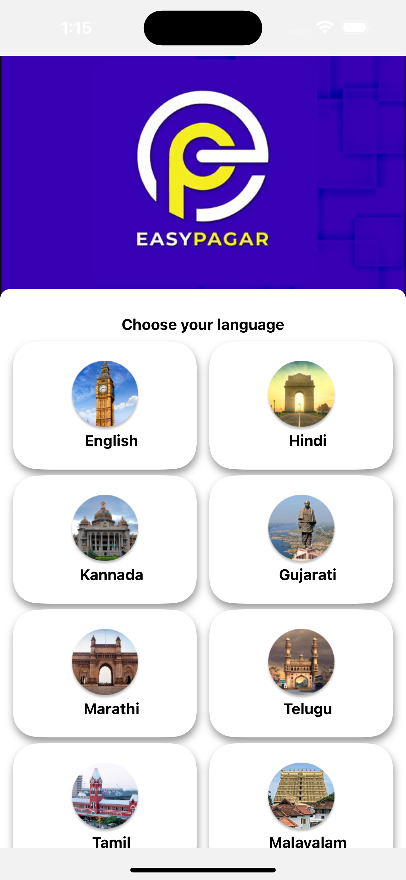Easy Pagar