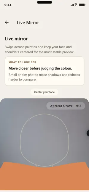 Live Mirror Paletra screenshot 4