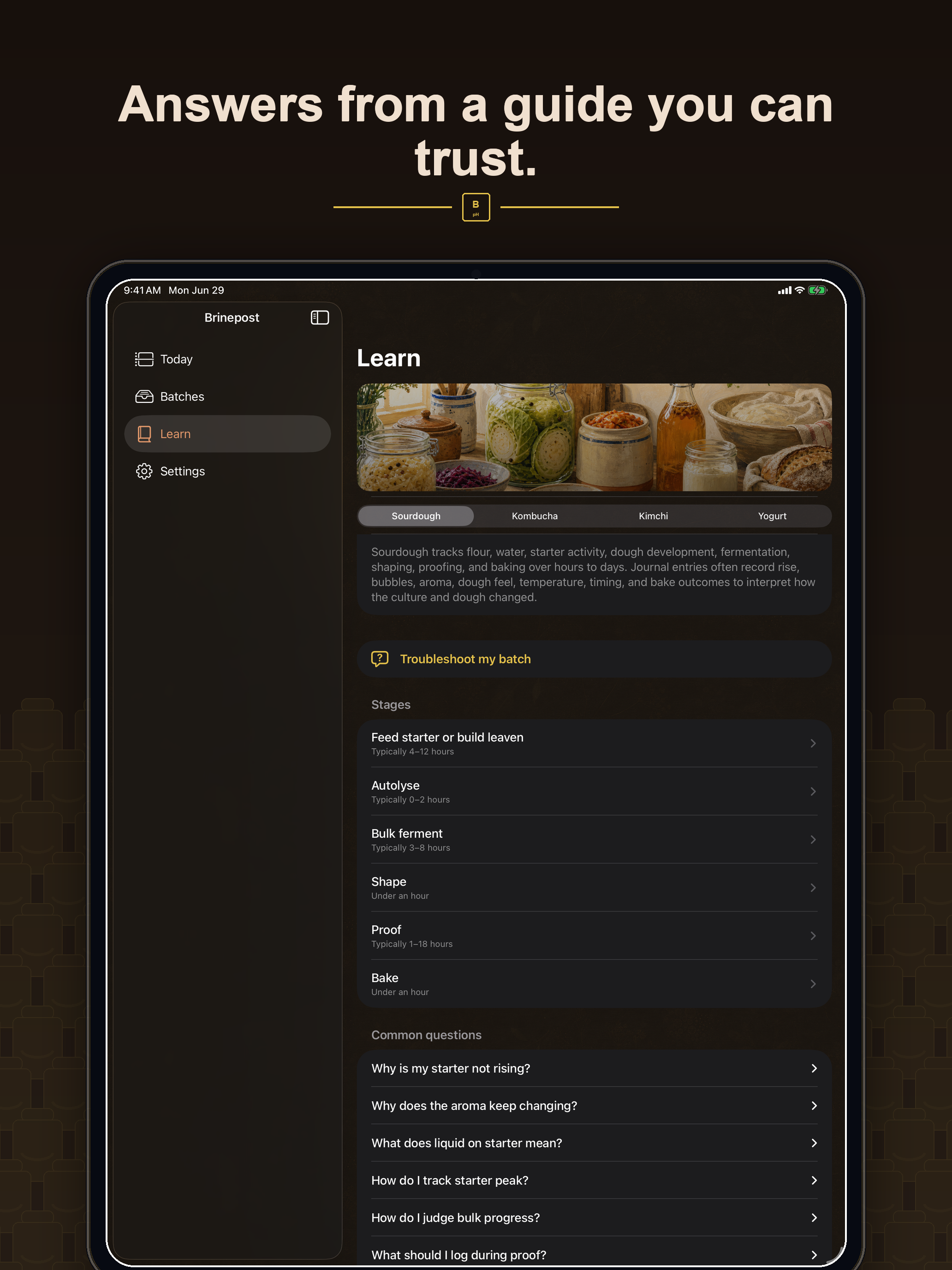 Brinepost: Sourdough & Ferment screenshot 10