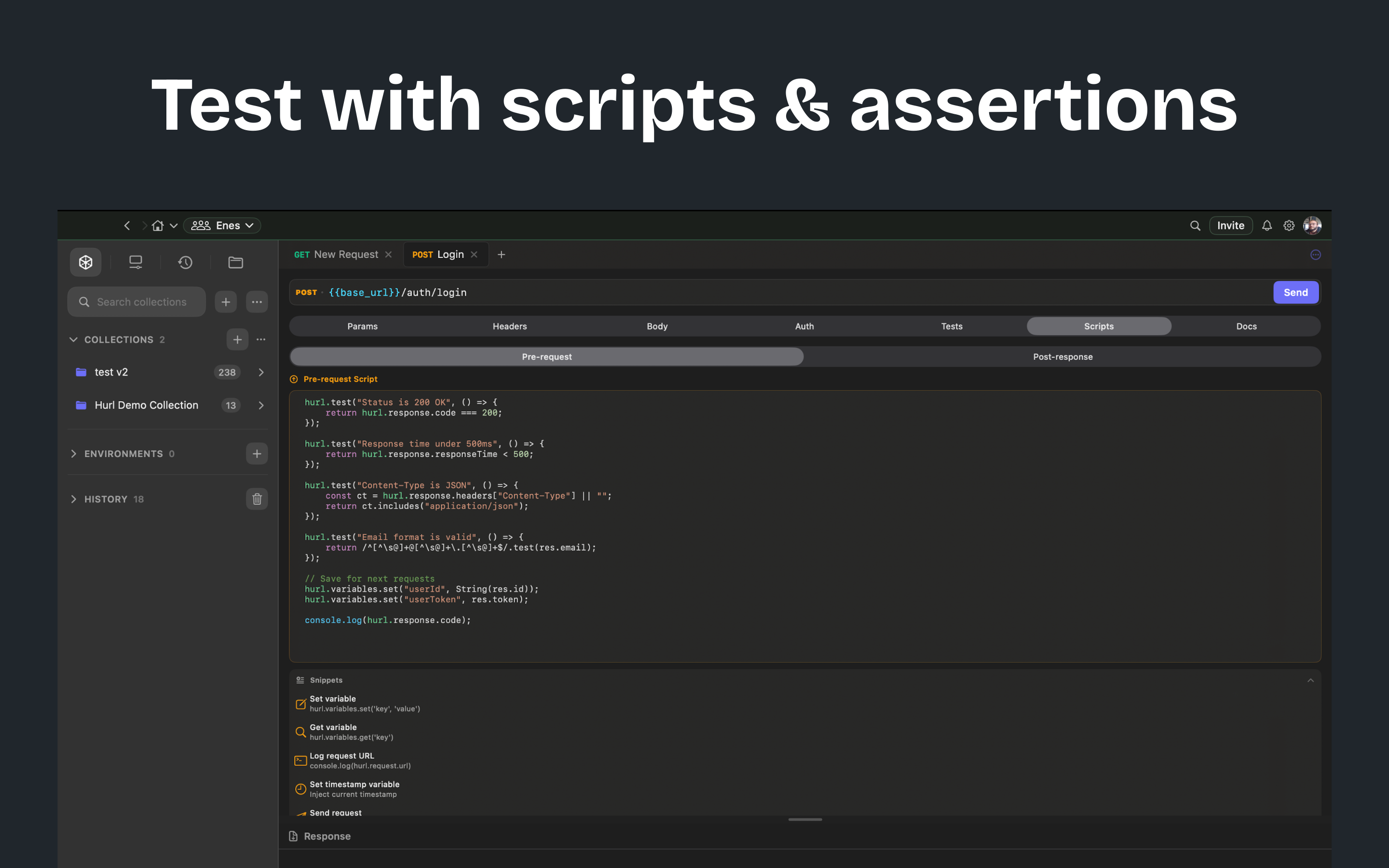 Hurl Client screenshot 14