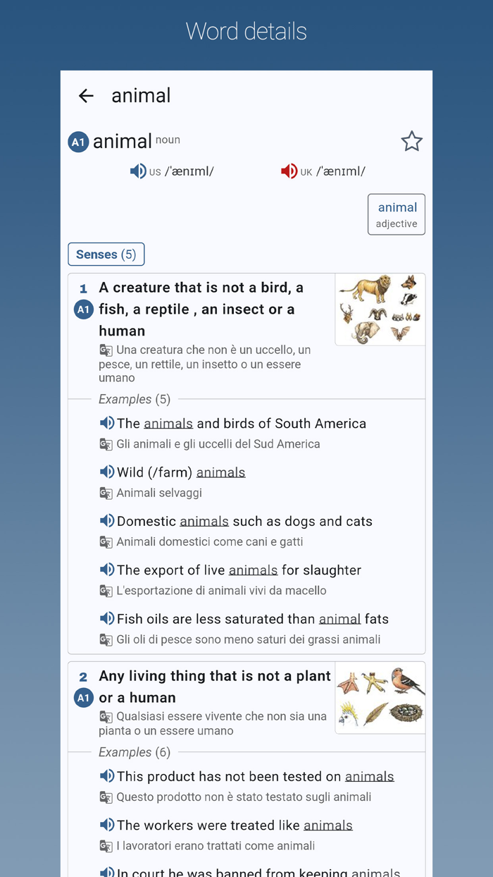 English-Italian Dictionary Pro